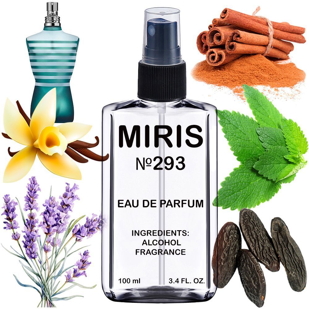 MIRIS No. 293, Inspired by Le Male, Long-Lasting Eau de Parfum for Men, Spray 3.4 Fl Oz / 100 ml
