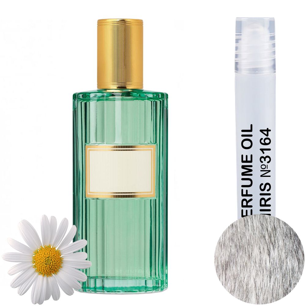 MIRIS Perfume Oil No.3164 | Impression of Memoire Dune Odeur | Unisex