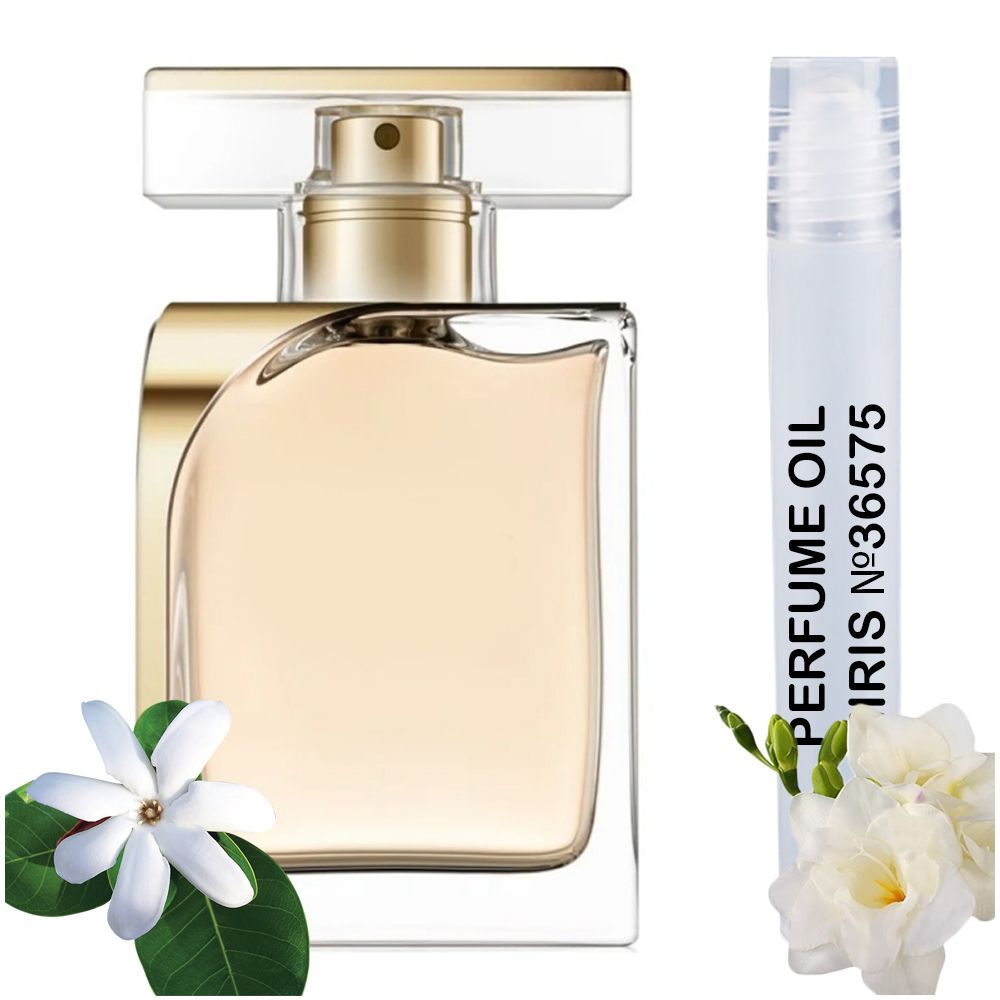 MIRIS Perfume Oil No.36575 | Impression of Vanitas | Women | Roll-On Alcohol Free | 0.34 Fl Oz / 10 ml